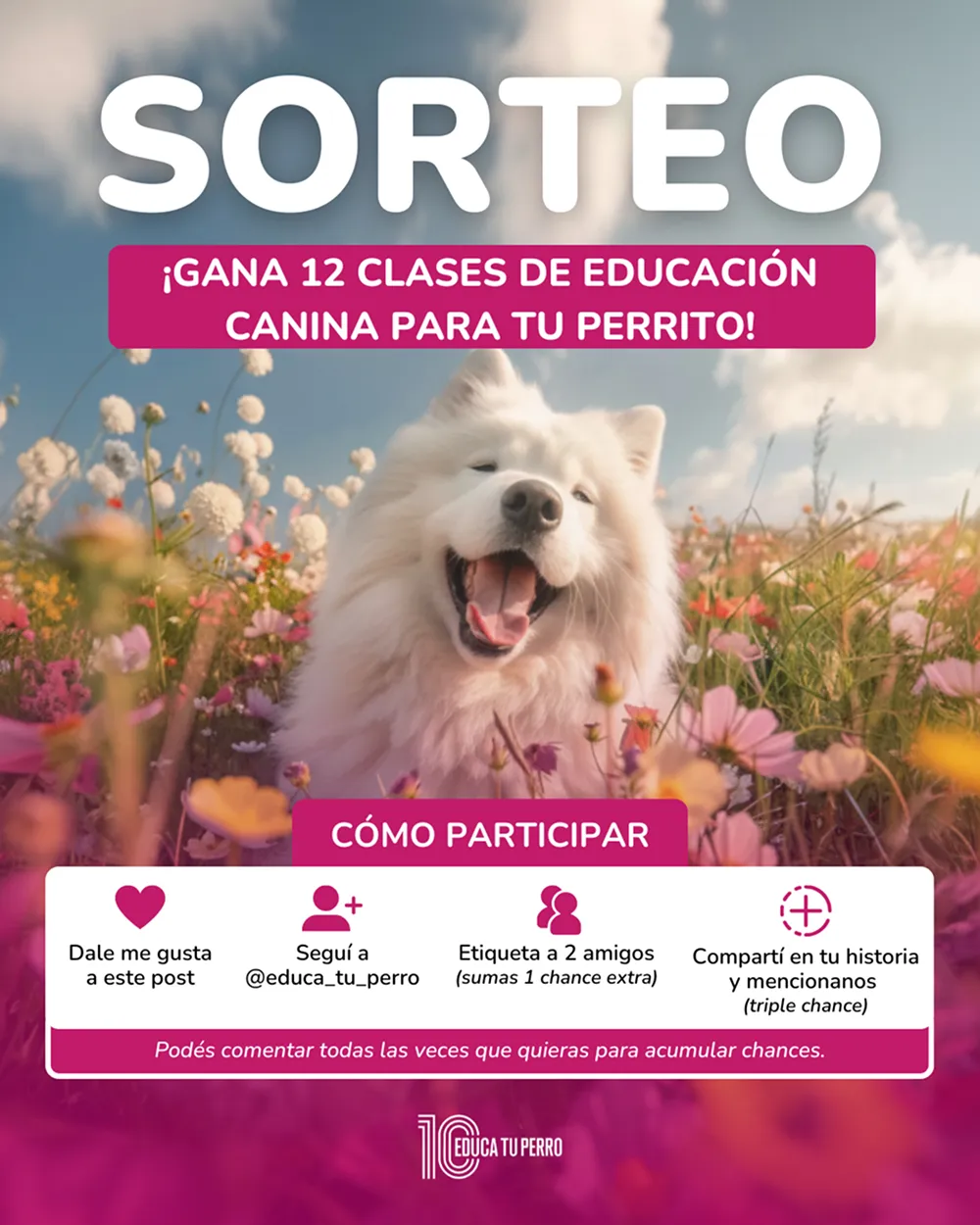 Educa Tu Perro 8